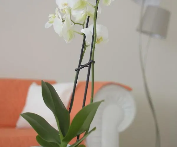 Thomas Feriehus Imperia