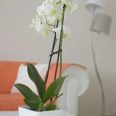 Thomas בית נופש אימפריה